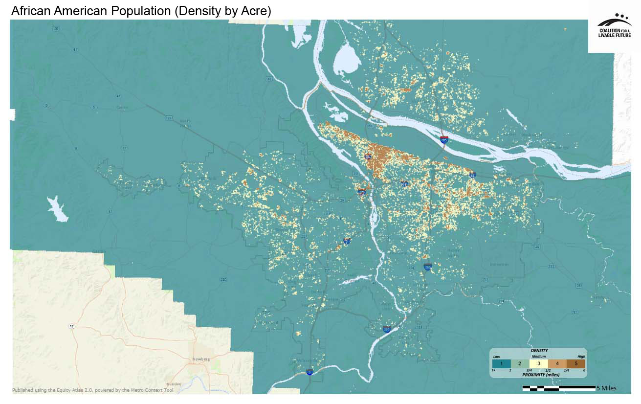 African American Population (Density by Acre) African American Population (Density by Acre)