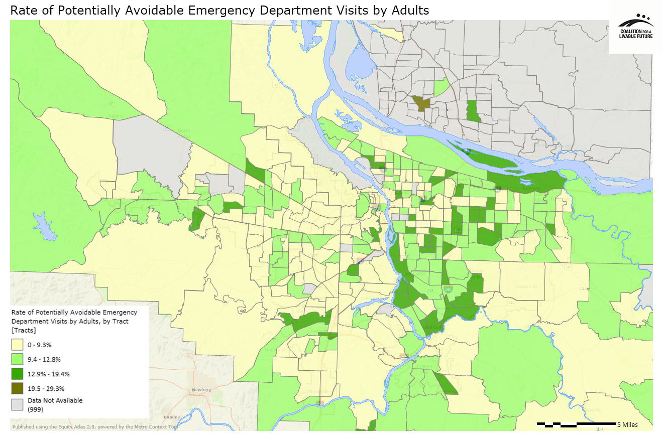 Rate of Potentially Avoidable Emergency Department Visits by Adults Rate of Potentially Avoidable Emergency Department Visits by Adults