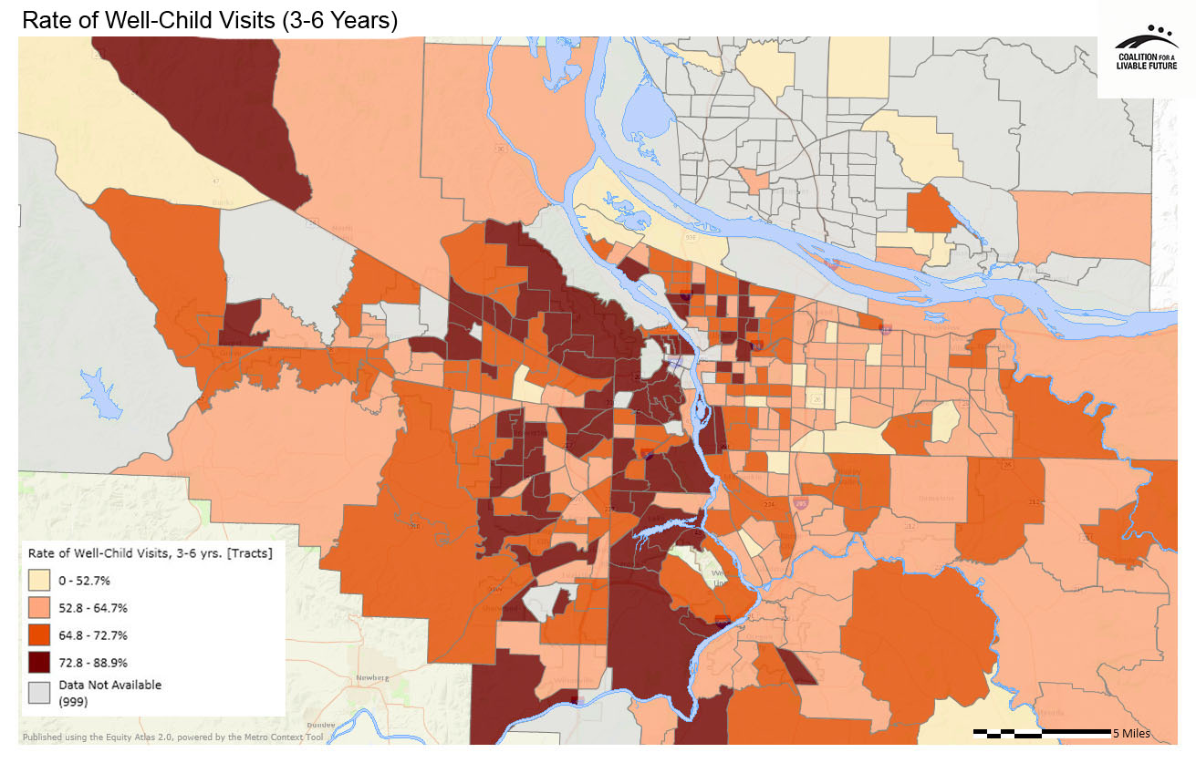 Rate of Well-Child Visits (3-6 Years) Rate of Well-Child Visits (3-6 Years)